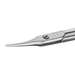 Scissors, High Precision, Extra Fine, Curved Blade, Miniature Work, 3.4" OAL